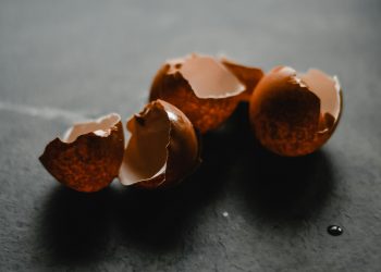 FDA, 미전역서 계란 600만여개 리콜