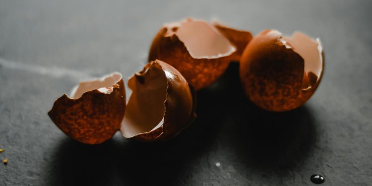 FDA, 미전역서 계란 600만여개 리콜