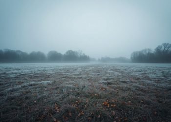 “그린스보로, 한주간 기온 급변… 월요일 한파 주의”