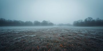 “그린스보로, 한주간 기온 급변… 월요일 한파 주의”