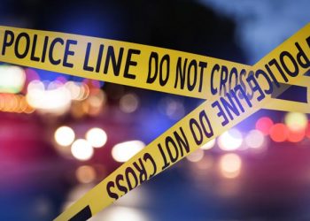 “올해 36번째 살인” 등 최근 잇따른 폭력 및 교통사고로 커뮤니티 불안 커져