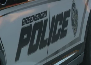 “올해 36번째 살인” 등 최근 잇따른 폭력 및 교통사고로 커뮤니티 불안 커져