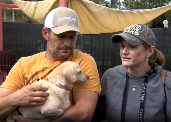 마이크로 칩 덕분에 5년만에 다시 만난 반려견