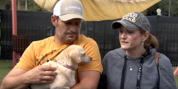 마이크로 칩 덕분에 5년만에 다시 만난 반려견