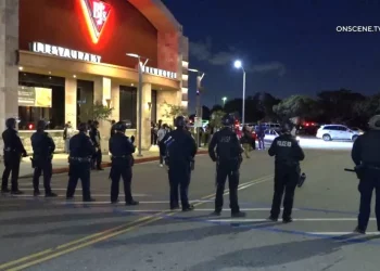 캘리포니아 웨스트필드 밸리페어 몰, 블랙프라이데이에 총격