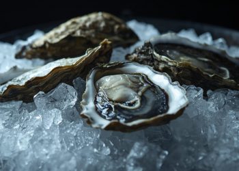 노스캐롤라이나 포함 미 22개 주 ‘생굴’ 비상… 살모넬라 집단 감염 확산