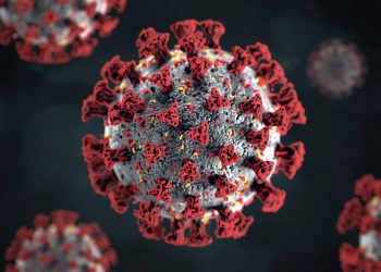 노스캐롤라이나, ‘변이 독감’ 기승… 아동 사망 및 휴교 잇따라