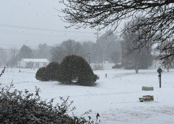 폭설과 한파가 삼킨 그린스보로, 공공 서비스 전면 중단