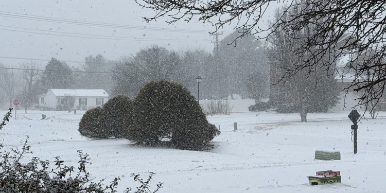 폭설과 한파가 삼킨 그린스보로, 공공 서비스 전면 중단