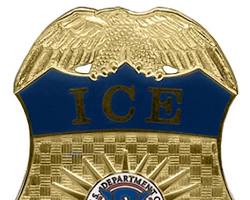 미네소타 ICE 총격 사건 반전… “요원 허위 진술 가능성” 연방 수사 착수