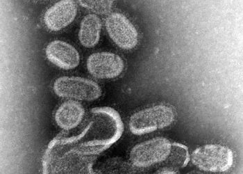 늦겨울 독감 기승… ‘B형 바이러스’ 소아·청소년 강타