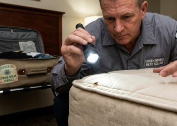 조지아주, 빈대 신고 전국 6위… 남부 지역 확산세 뚜렷