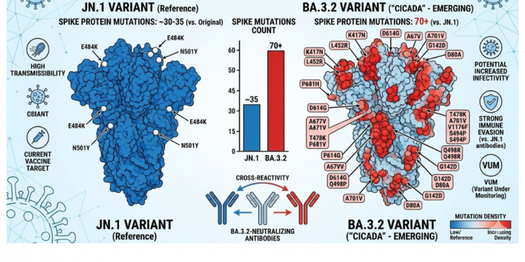 ‘스파이크 변이만 70개’ 코로나19 신종 변이 BA.3.2, 美 25개 주 확산