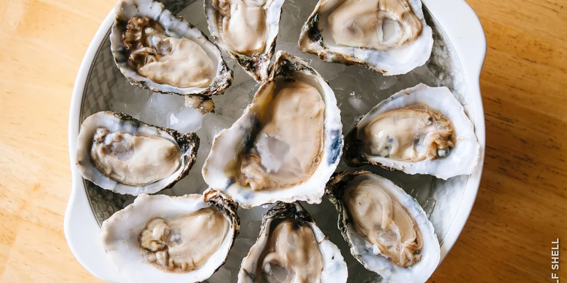 美 9개주 ‘생굴·조개 리콜’ 비상…노로바이러스 감염 확산 우려