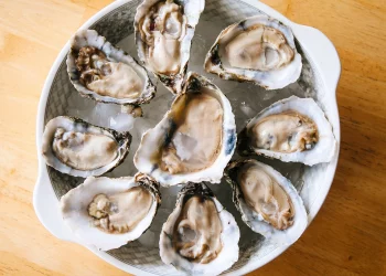 美 9개주 ‘생굴·조개 리콜’ 비상…노로바이러스 감염 확산 우려