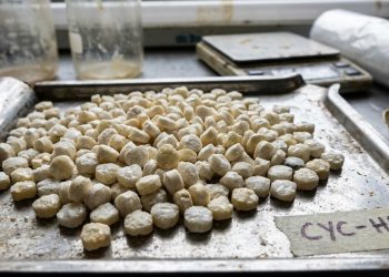 “펜타닐보다 10배 강력”…새 합성 마약 ‘사이클로르핀’ 확산 경고