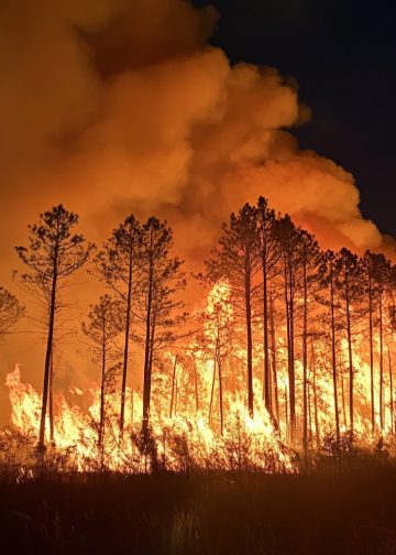 조지아 남부 산불 ‘비상사태’ 선포… 91개 카운티 소각 전면 금지