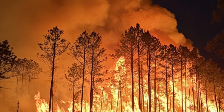 조지아 남부 산불 ‘비상사태’ 선포… 91개 카운티 소각 전면 금지