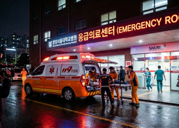 미국 국적 한인 임산부, 응급실 거부에 쌍둥이 참변… 대구서 또 ‘응급실 뺑뺑이’ 비극