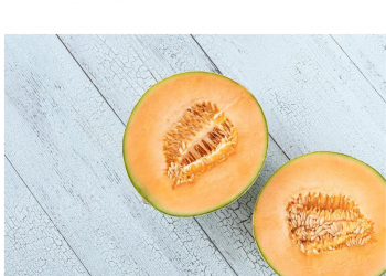 미 전역 유통 캔털루프 8천 상자 살모넬라 우려 리콜