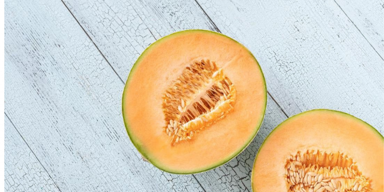 미 전역 유통 캔털루프 8천 상자 살모넬라 우려 리콜