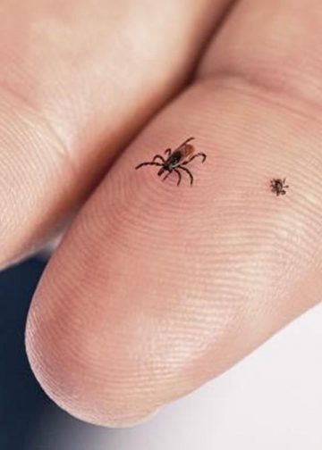 라임병 백신 개발 진전…미국 연간 47만 명 감염 “FDA 승인 여부 주목”