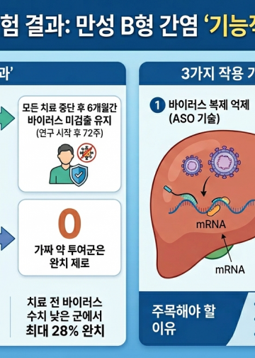 평생 알약 굴레 벗어난다…B형 간염 환자 5명 중 1명 ‘기능적 완치’ 성공