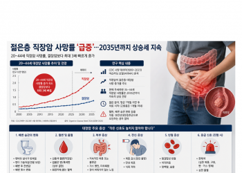 젊은층 직장암 사망률 ‘급증’…2035년까지 상승세 지속 경고