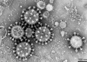 코로나19 재확산 조짐…CDC “41개 주서 감염 증가”