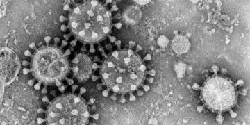 코로나19 재확산 조짐…CDC “41개 주서 감염 증가”