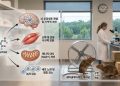 위고비·오젬픽 핵심 성분 ‘세마글루타이드’, 생물학적 노화 억제·수명 연장 입증